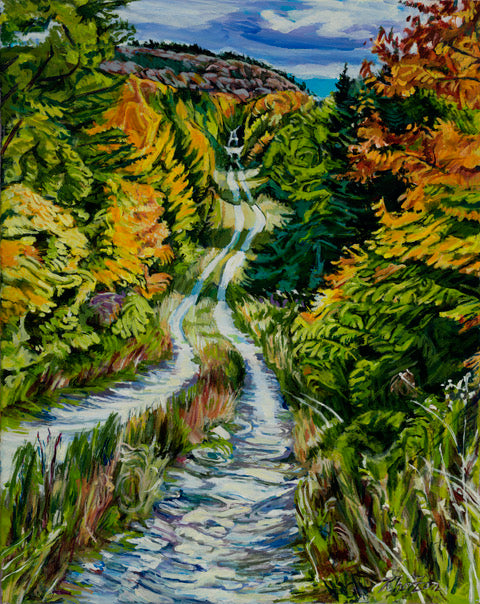 Bird Road